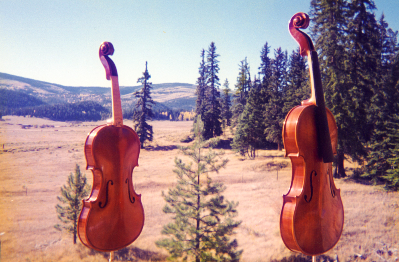 Instruments in the sun