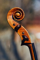 Cello No. 84
