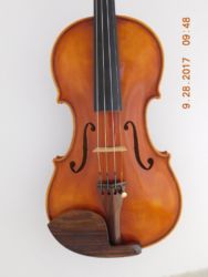 Violin #161 2002