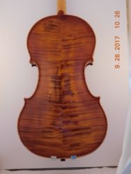 Viola #178 2006